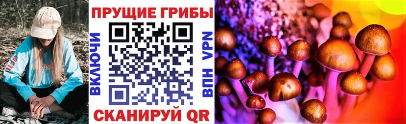 hydra зеркало  Томск  Псилоцибиновые грибы MAGIC MUSHROOMS  это Telegram  где купить наркоту 